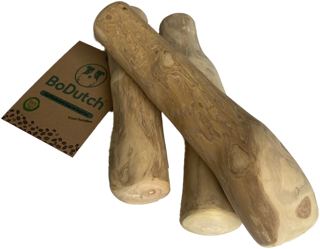BoDutch - Kaffeebaum-Kauwurzel L