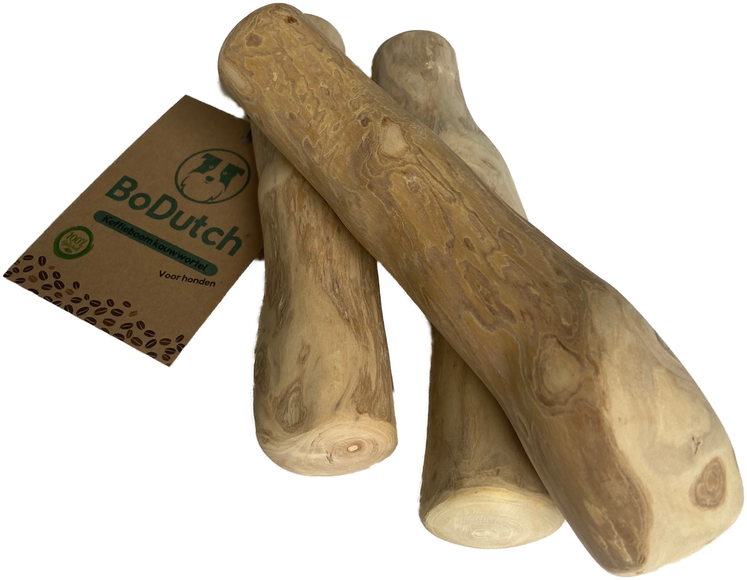 BoDutch - Koffieboom kauwwortel L