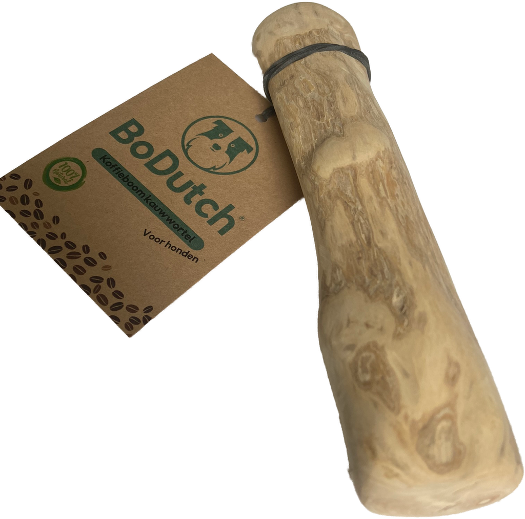 BoDutch - Kaffeebaum-Kauwurzel L