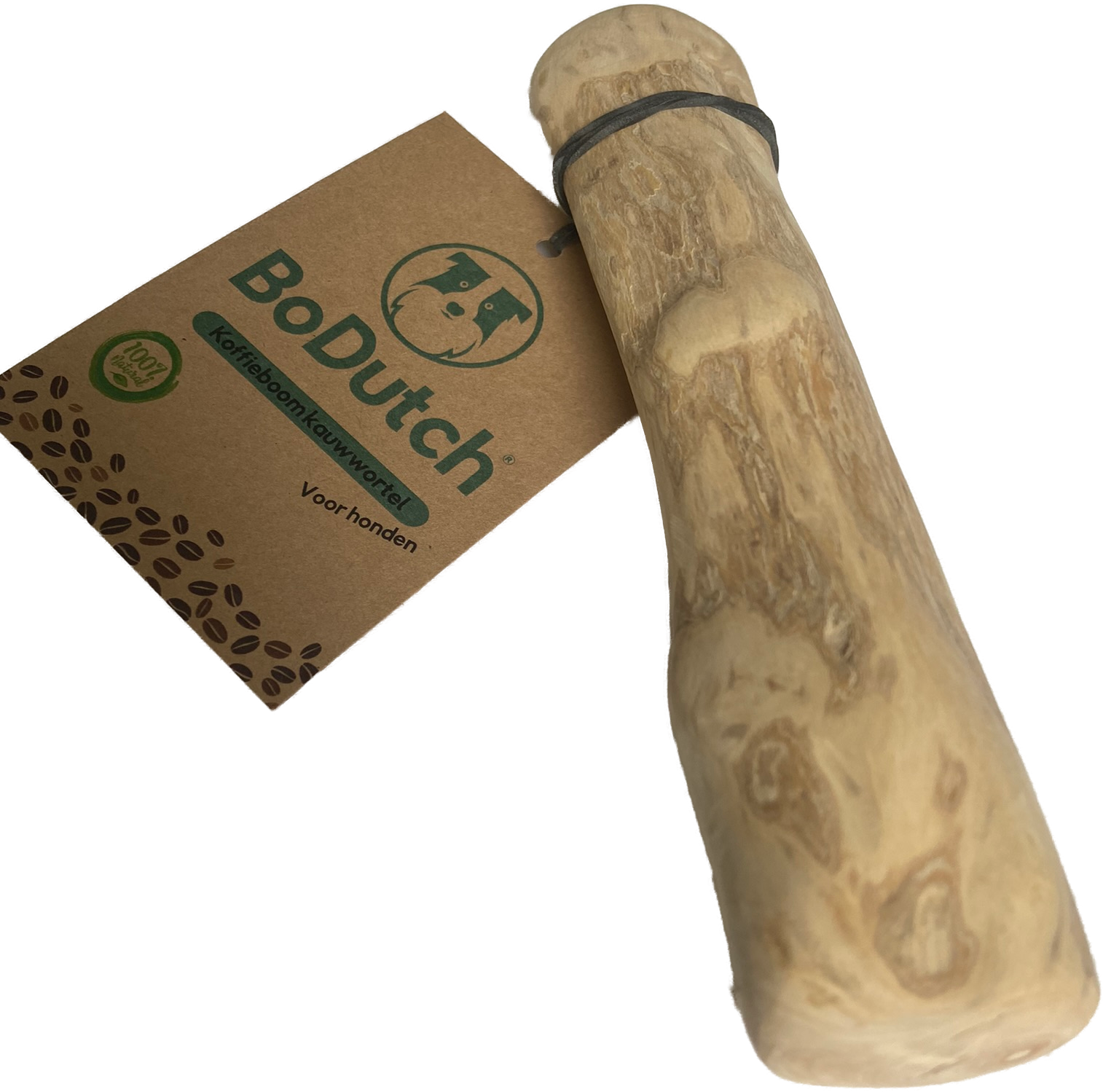 BoDutch - Koffieboom kauwwortel L