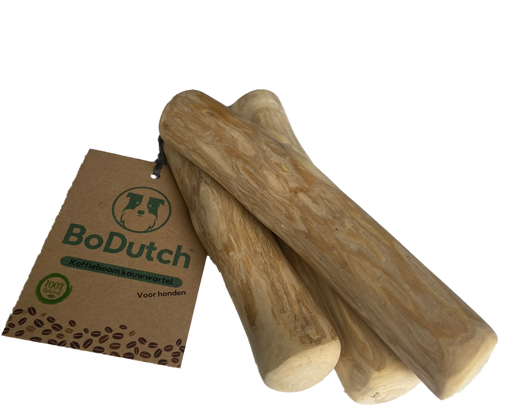 BoDutch Koffieboom kauwwortel M
