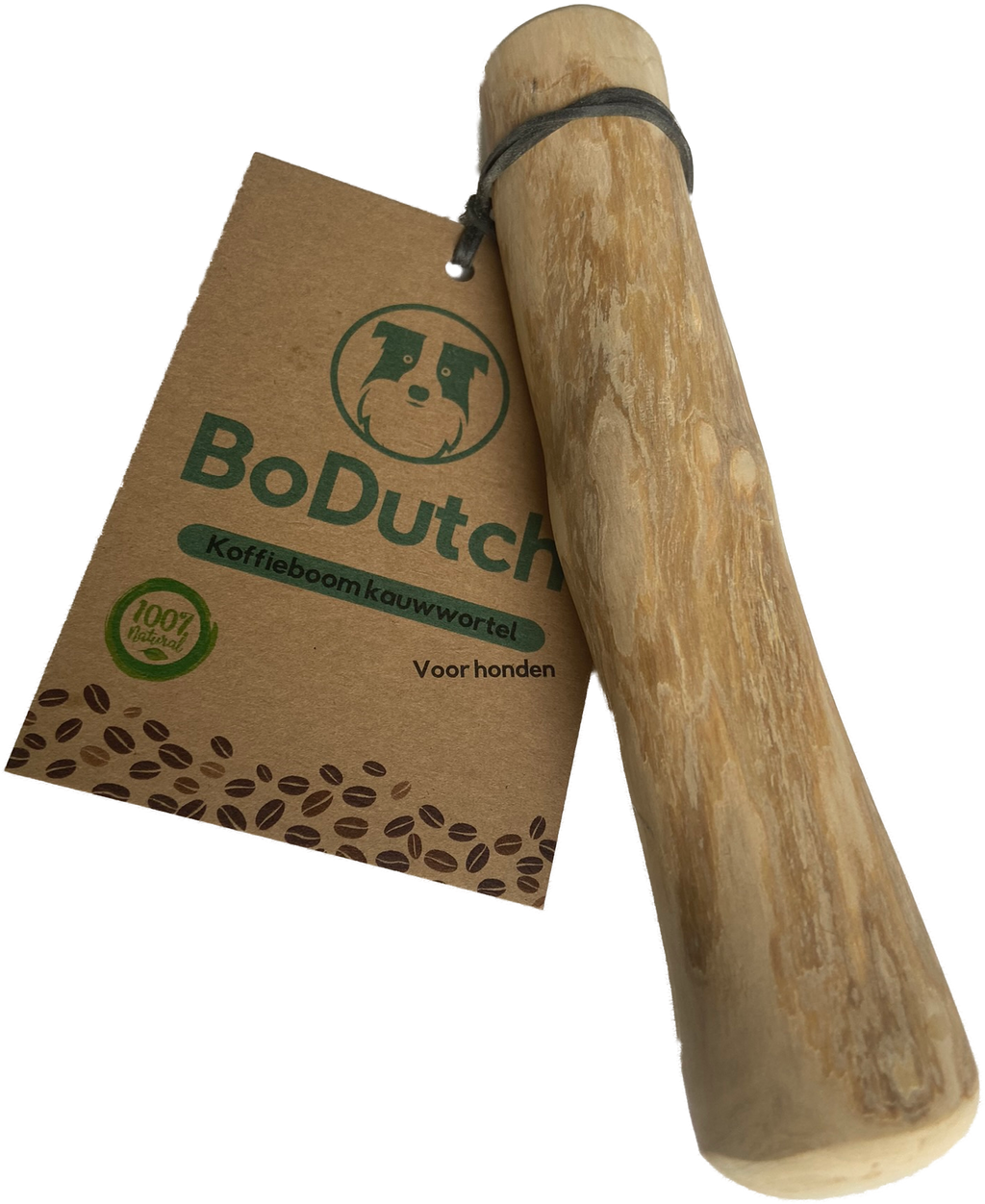 BoDutch Koffieboom kauwwortel M