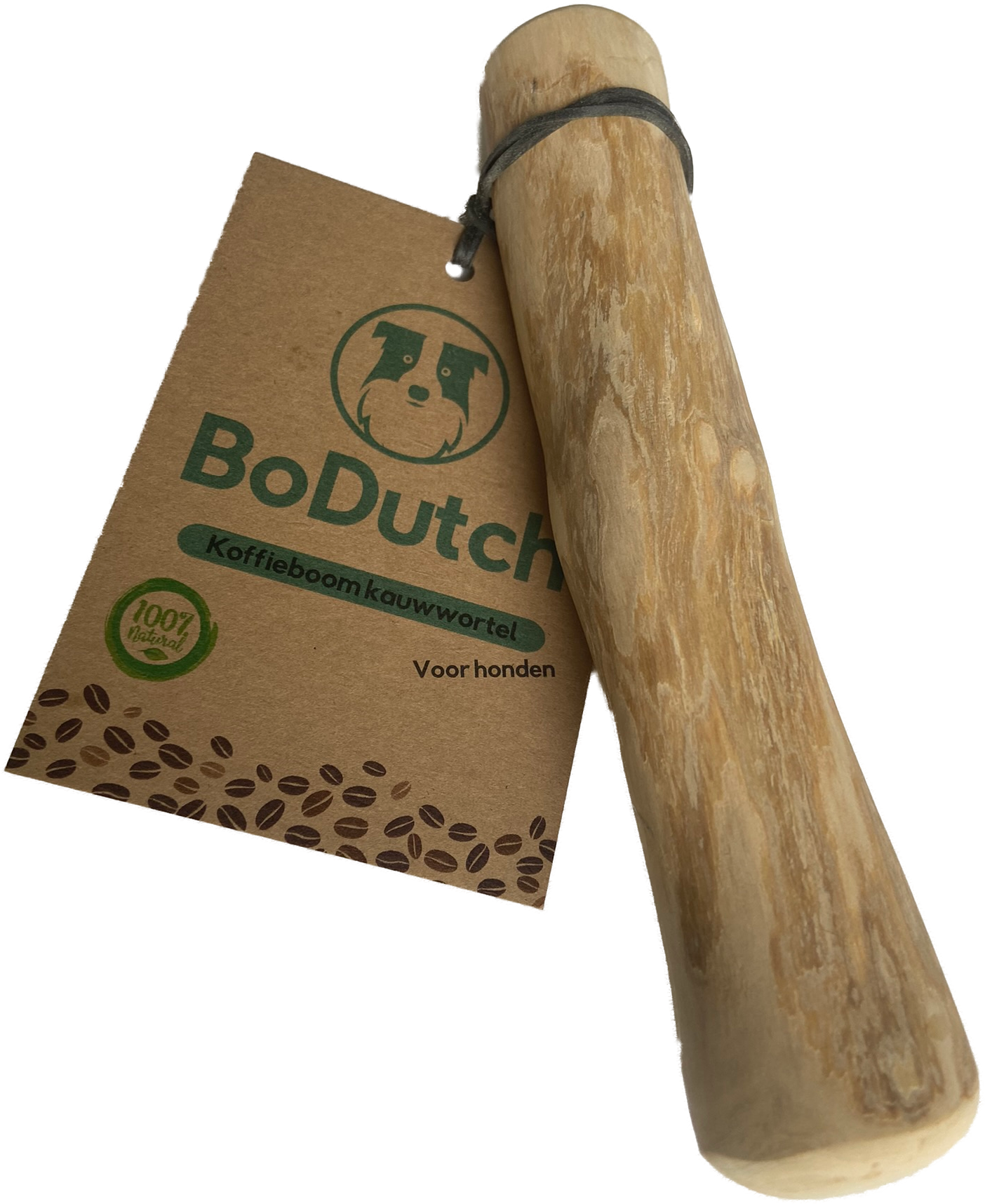 BoDutch Koffieboom kauwwortel M